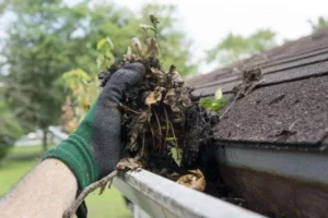 Gutter Cleaning Service Worcester County MA 3